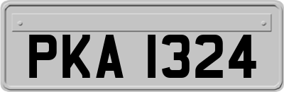 PKA1324