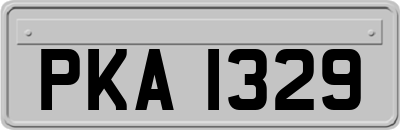 PKA1329