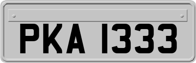 PKA1333