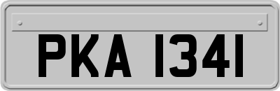 PKA1341