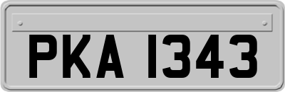 PKA1343