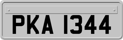 PKA1344