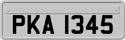 PKA1345