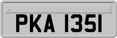 PKA1351