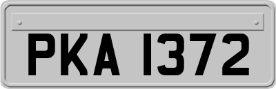 PKA1372