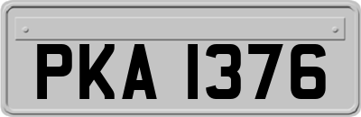 PKA1376