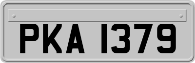 PKA1379