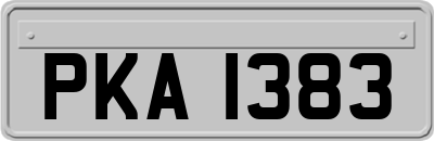 PKA1383