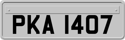 PKA1407