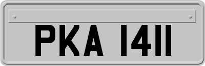 PKA1411