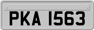 PKA1563