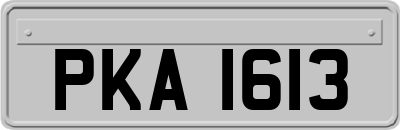 PKA1613