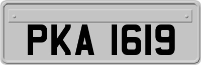 PKA1619
