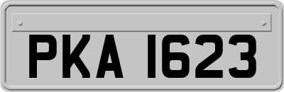 PKA1623