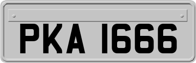 PKA1666