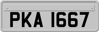 PKA1667