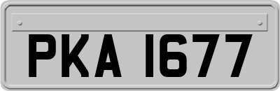 PKA1677