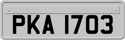 PKA1703