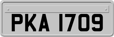 PKA1709
