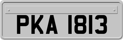 PKA1813