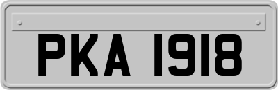 PKA1918