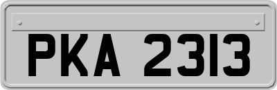 PKA2313