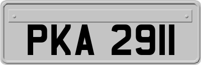 PKA2911