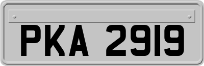 PKA2919