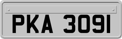 PKA3091