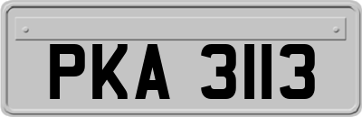 PKA3113