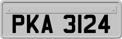 PKA3124