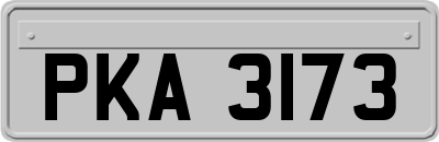 PKA3173