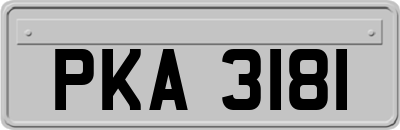 PKA3181