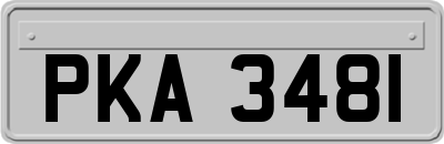 PKA3481