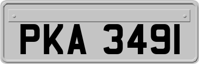 PKA3491