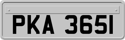 PKA3651