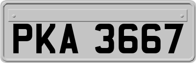 PKA3667