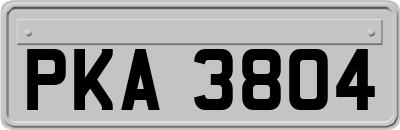 PKA3804