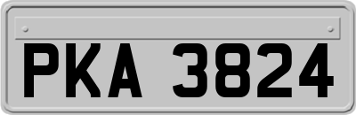 PKA3824