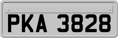 PKA3828