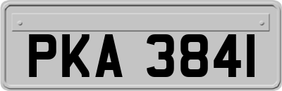 PKA3841