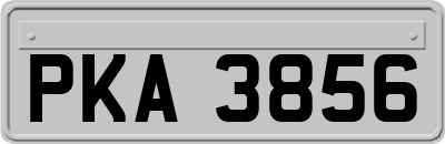 PKA3856