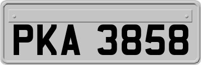 PKA3858