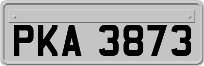 PKA3873