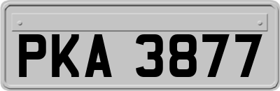 PKA3877