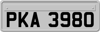 PKA3980