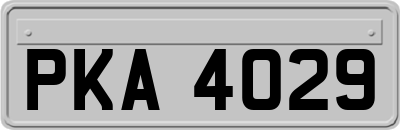 PKA4029