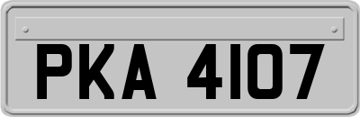PKA4107