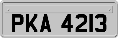 PKA4213