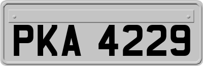 PKA4229